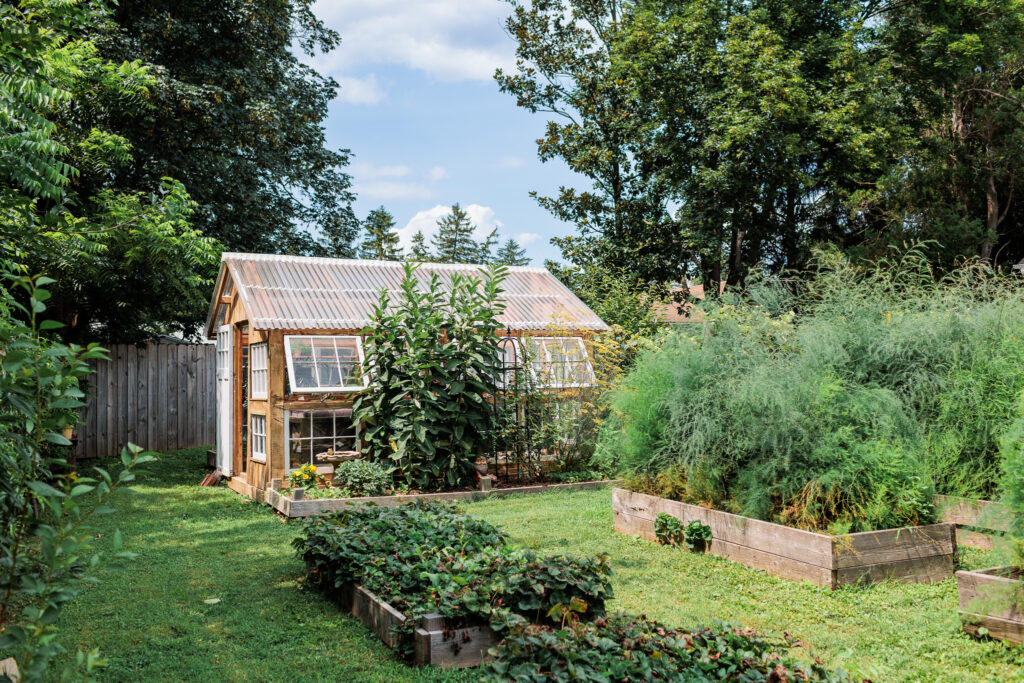 Side view of a rustic greenhouse surrounded by garden beds, the location for outdoor boudoir photography in West Chester.